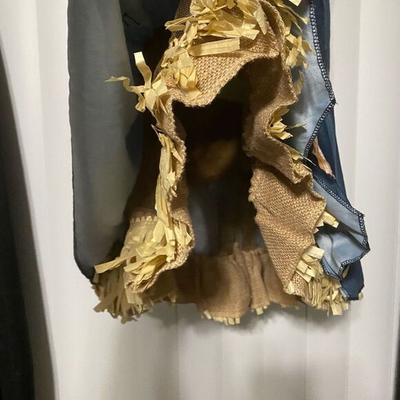 Amscan Sultry Scarecrow blue/green with overalls Halloween costumes, includes br - Picture 4 of 10